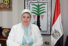الدكتورة سحر السنباطي رئيسة المجلس القومي القومي للطفولة والأمومة