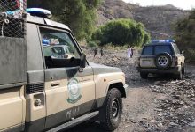 القبض على شخص لترويجه 260 كيلوجرامًا من الحشيش بمنطقة جازان 