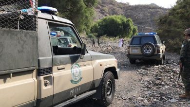 القبض على شخص لترويجه 260 كيلوجرامًا من الحشيش بمنطقة جازان 