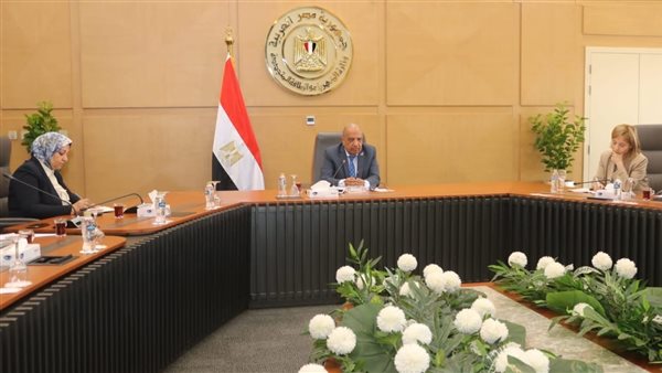 القطاع الخاص يقود مشروعات استراتيجية الطاقة ودعم التحول الطاقي