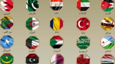 الكويت ودول عربية وإسلامية تطالب بوقف الأعمال العدائية الإسرائيلية ضد إيران