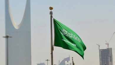 المملكة شريك رئيس في جهود نزع فتيل التوتر وتحقيق السلام في المنطقة