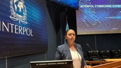 انتخاب المغرب نائبا لرئيس الفريق الدولي لخبراء الإنتربول في مجال الجرائم السيبرانية