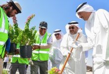 انطلاق المرحلة الأولى من مبادرة تخضير «الدائري الثاني»