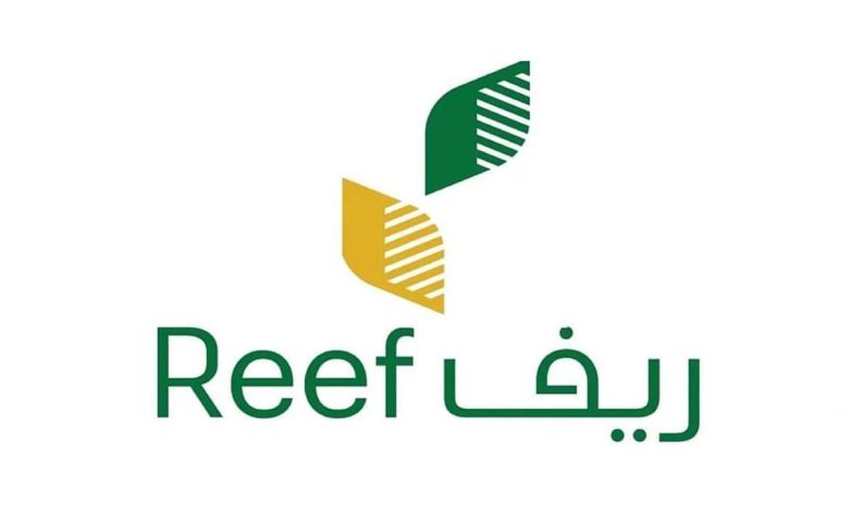 بالرابط والخطوات.. الاستعلام عن ريف شهر يونيو 2025 لجميع المستفيدين