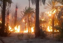 حريق بواحة « أفرا » يأتي على أكثر من 3 هكتارات من أشجار النخيل في إقليم طاطا