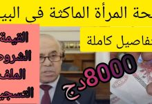 دعم مالي للنساء غير العاملات في الجزائر .. خطوات التسجيل في منحة 8000 دينار