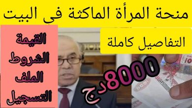 دعم مالي للنساء غير العاملات في الجزائر .. خطوات التسجيل في منحة 8000 دينار
