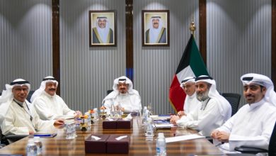 رئيس الوزراء: العمل على تعديل التشريعات للسماح للشركات بإنتاج الطاقة الكهربائية