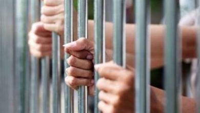 سرقة منظمة ليلا تنتهي بحكم السجن المشدد 10 سنوات ضد 3 متهمين في المنيا