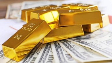 سعيد إمبابي: دولار الصاغة يتجاوز الـ51 جنيها.. والأسعار الحالية غير عادلة
