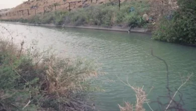 شاب يفارق الحياة غرقًا في قناة الملك عبد الله بالأغوار الشمالية
