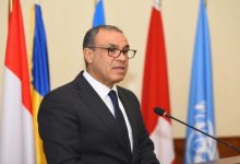 عبدالعاطي يؤكد أن غطرسة إسرائيل لن تحقّق الأمن و نحتاج لدور أميركي لتحقيق السلام