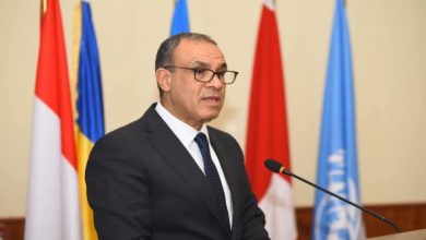 عبدالعاطي يؤكد أن غطرسة إسرائيل لن تحقّق الأمن و نحتاج لدور أميركي لتحقيق السلام