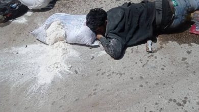 فتوح يطالب بوقف فوري لنقاط توزيع الغذاء في قطاع غزة باعتبارها ساحات موت جماعي للفلسطينيين