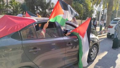 فيديو وصور| قافلة الصمود "المغاربية" تنطلق براً نحو غزة