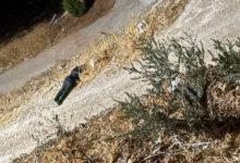 قوة خاصة إسرائيلية تغتال فلسطينيا في طمون 