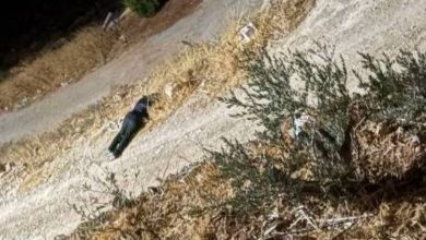 قوة خاصة إسرائيلية تغتال فلسطينيا في طمون 