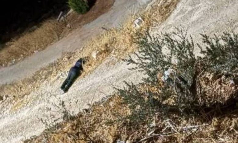 قوة خاصة إسرائيلية تغتال فلسطينيا في طمون
