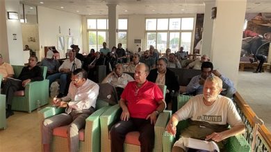 لا نهضة بلا فن .. ولا حرية بلا تمرد على التبعية