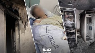 لماذا يهاجم المستوطنون وجيش الاحتلال بعضهم بعضا؟ 