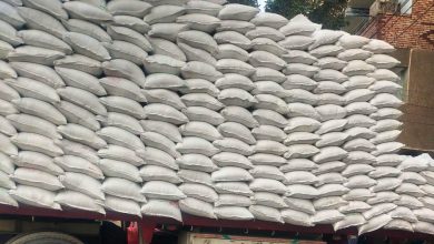 مصر على أعتاب الاكتفاء الذاتي من السكر.. تفاصيل