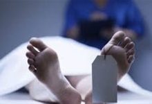 مصرع شخص دهسته سيارة نقل بمنطقة شرق العوينات في الوادي الجديد