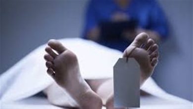 مصرع شخص دهسته سيارة نقل بمنطقة شرق العوينات في الوادي الجديد