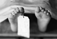 مصرع طفلة دهسًا بسقوط نخلة أثناء سيرها في قوص بقنا