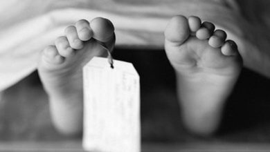 مصرع طفلة دهسًا بسقوط نخلة أثناء سيرها في قوص بقنا