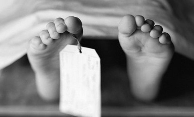 مصرع طفلة دهسًا بسقوط نخلة أثناء سيرها في قوص بقنا