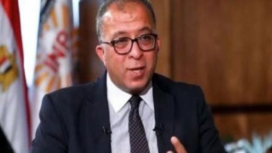 الدكتور أشرف العربي رئيس المعهد القومي التخطيط،