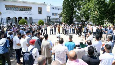 من المدرسة إلى الجامعة .. طموح "دكاترة التربية" يصطدم بجدران الإدارة