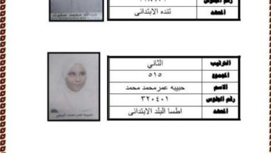 منطقة المنيا الأزهرية تعلن أسماء أوائل المكفوفين في الشهادة الابتدائية