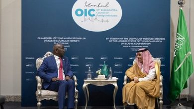 وزير الخارجية يبحث مع نظيره الموريتاني المستجدات الإقليمية والدولية