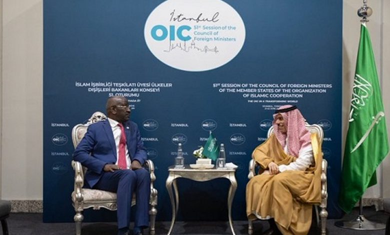 وزير الخارجية يبحث مع نظيره الموريتاني المستجدات الإقليمية والدولية