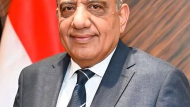 وزير الكهرباء يتابع ربط محطتي محولات جرزا وغرب بكر بالجيزة والبحر الأحمر على الشبكة الكهربائية