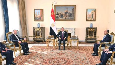 وزير خارجية إيران: لقائي مع الرئيس السيسي كان مثمرا ويؤكد الإرادة المشتركة لتعزيز العلاقات