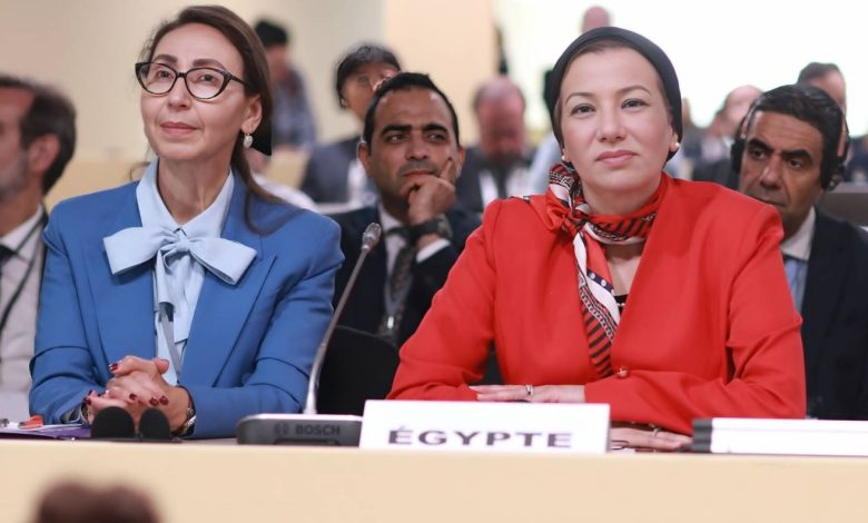 وزيرة البيئة تتوجه إلى نيس بفرنسا للمشاركة في مؤتمر الأمم المتحدة الثالث للمحيطات UNOC3