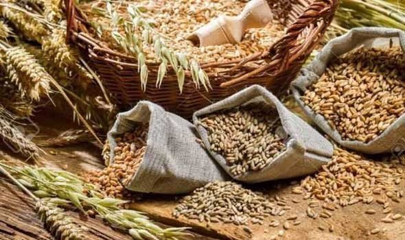 توقعات بتراجع واردات مصر من القمح 20% بعد فرض قيود على تصدير الدقيق