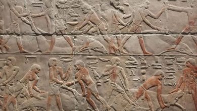 توفي في الستين من عمره.. اكتشاف أول تسلسل كامل للجينوم البشري من مصر القديمة لرجل عاش قبل 4800 عام