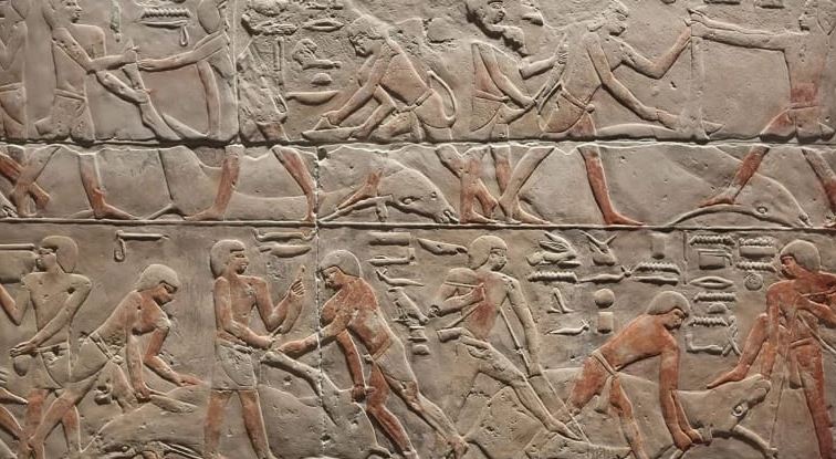 توفي في الستين من عمره.. اكتشاف أول تسلسل كامل للجينوم البشري من مصر القديمة لرجل عاش قبل 4800 عام