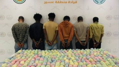 عسير: القبض على 6 مخالفين لتهريبهم 100 كيلوغرام من القات - أخبار السعودية
