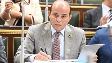 تعزيز التعاون الأفريقي لتحقيق التنمية الشاملة يجعل مصر بوابة للقارة السمراء