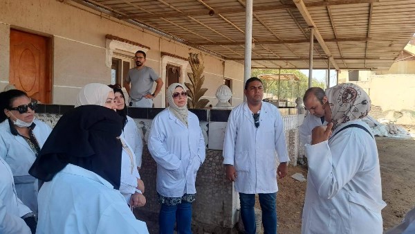 ورشة عمل للتدريب العملي على إجراء التحصينات السيادية لأطباء بورسعيد