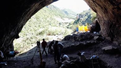 تنقيبات في الصويرة تكشف كائنات منقرضة وتغير مناخ الصحراء الكبرى