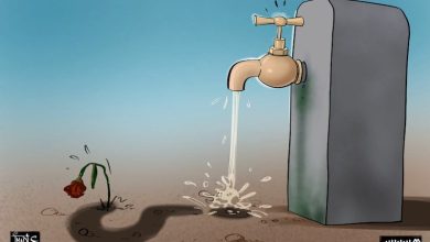 جودة مياه "الروبيني"