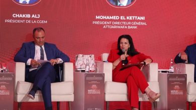 السغروشني: تكوين الشباب رهان أساسي لتحفيز التحول الرقمي بالمغرب