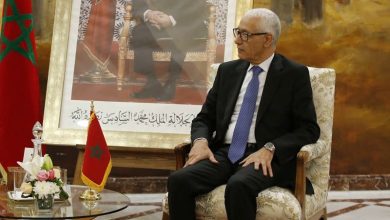 العلمي يترأس وفدا برلمانيا في باريس