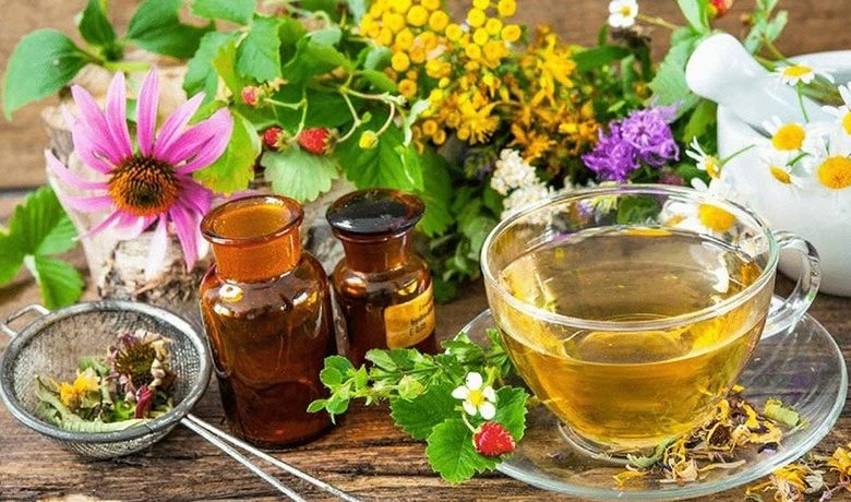 أفضل الأعشاب والوصفات الشعبية لصحة الكبد وتعزيز وظائفه